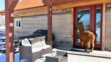 Terrasse/patio