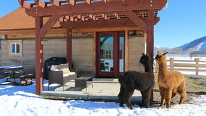 A wooden structure with a covered patio, a fireplace, and a view of mountains. - A Night with the Alpacas & Alpaca Experience! (Silt)