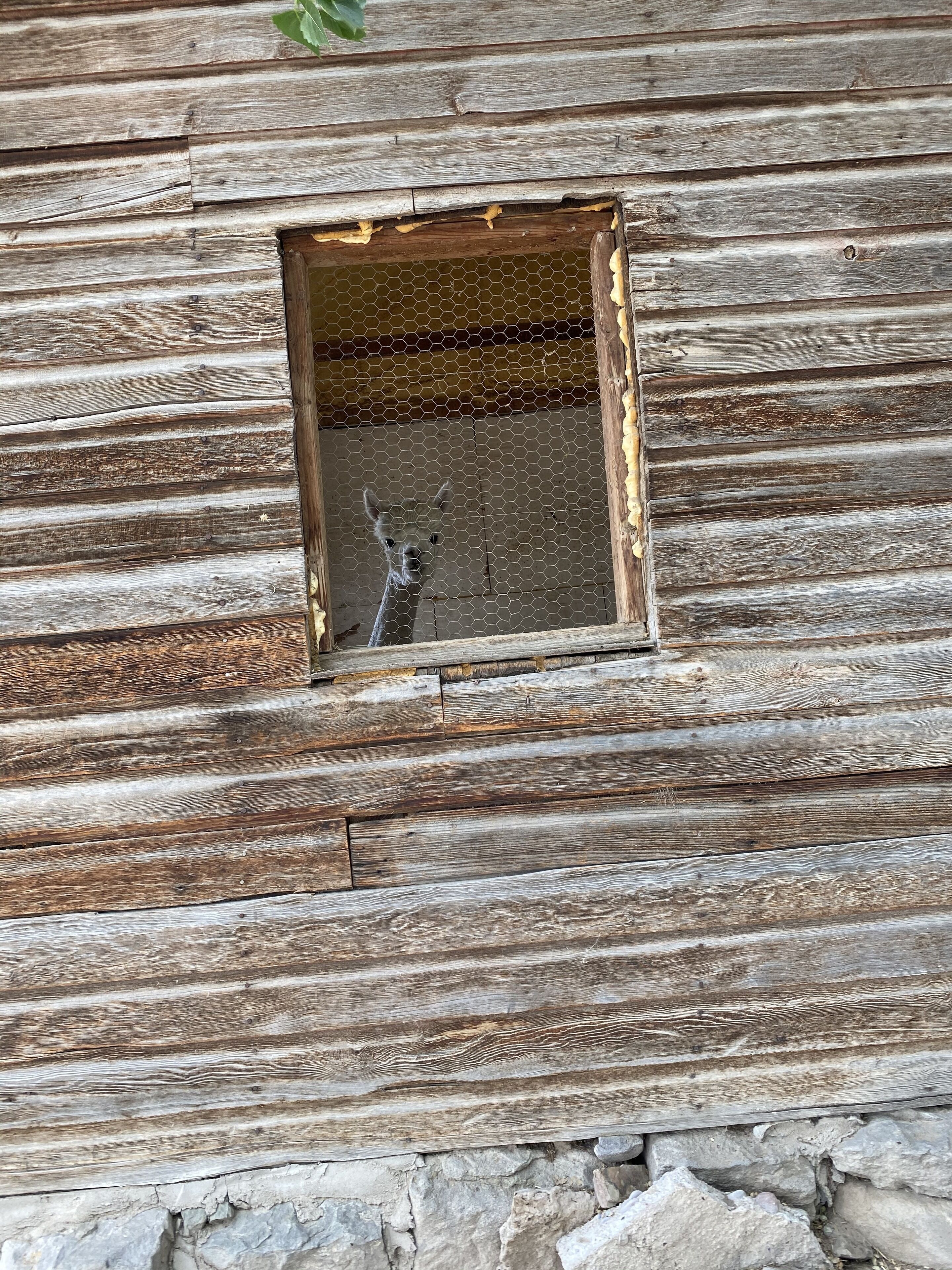 Pared de madera rústica con un pequeño ventanal que muestra una llama en su interior.
