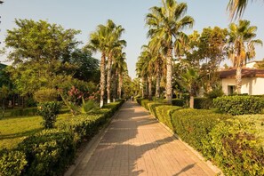 Àrea exterior de l'allotjament