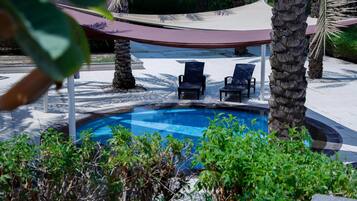 Piscina con dos sillas reclinables, rodeada de palmeras y una zona con sombra.