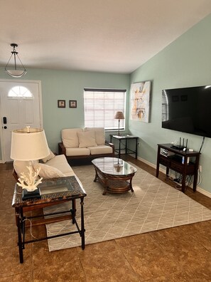 Smart-TV, DVD-Player, Bücher