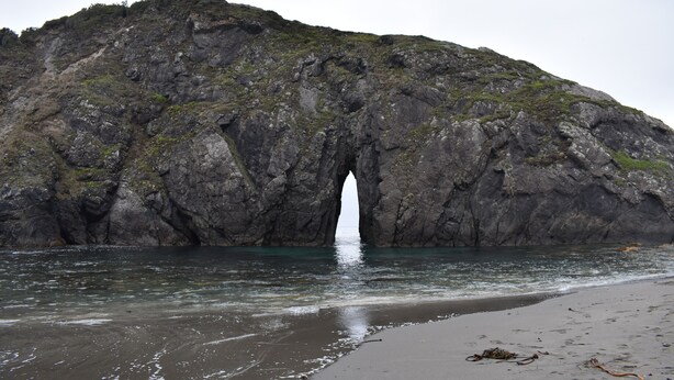 A rocky coastal landscape with a natural arch formation. - Beautiful Ocean View Home on the Majestic Oregon Coast The Blue Pelican (Brookings)
