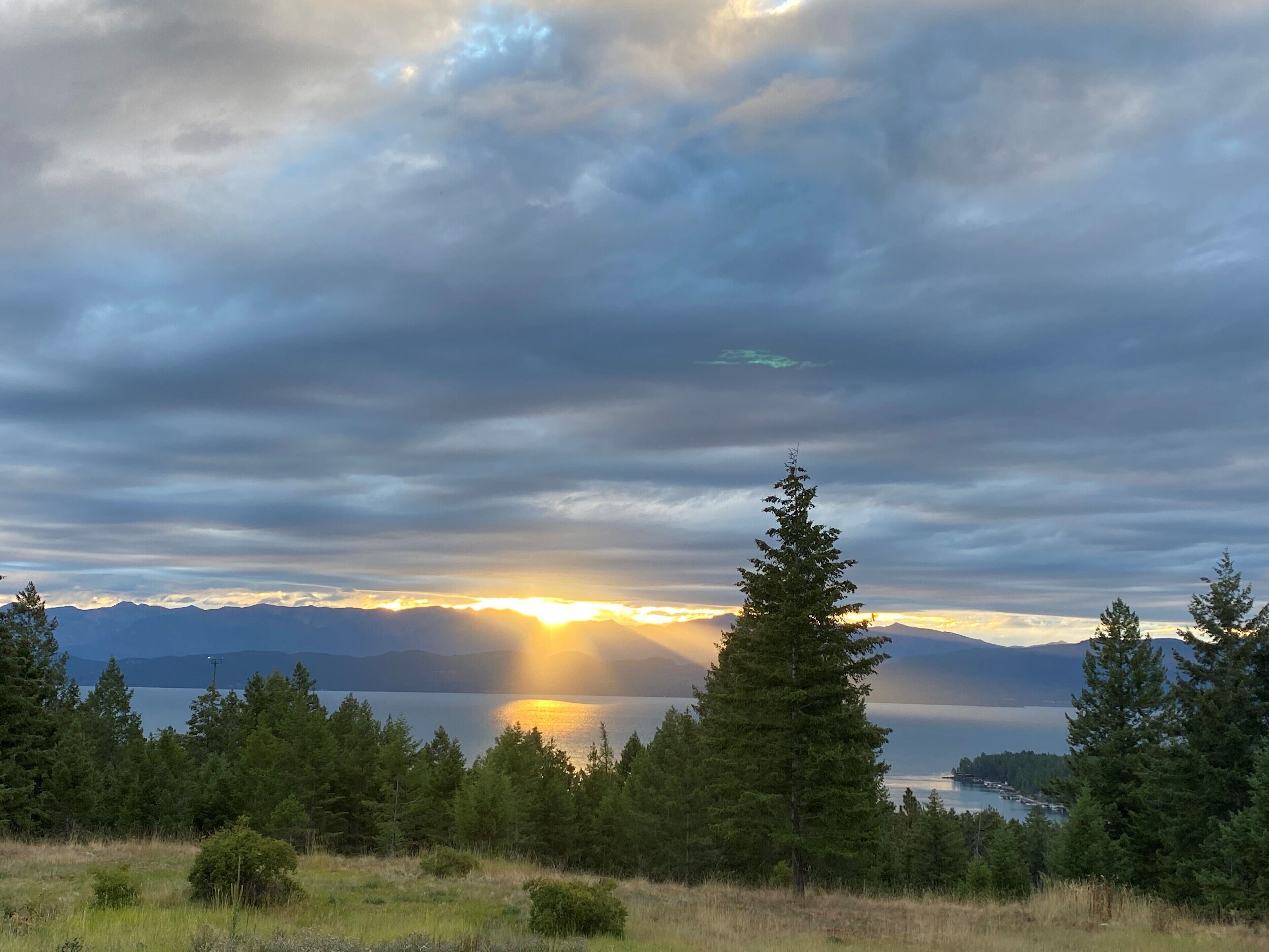 A natural landscape with a body of water, mountains, and a forest.