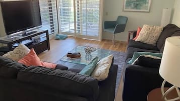 TV, DVD player, video library