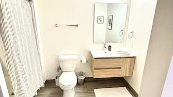 淋浴设施、吹风机、毛巾、肥皂