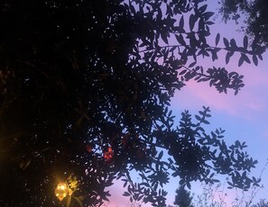Photo non classée, 5 sur 25, bouton