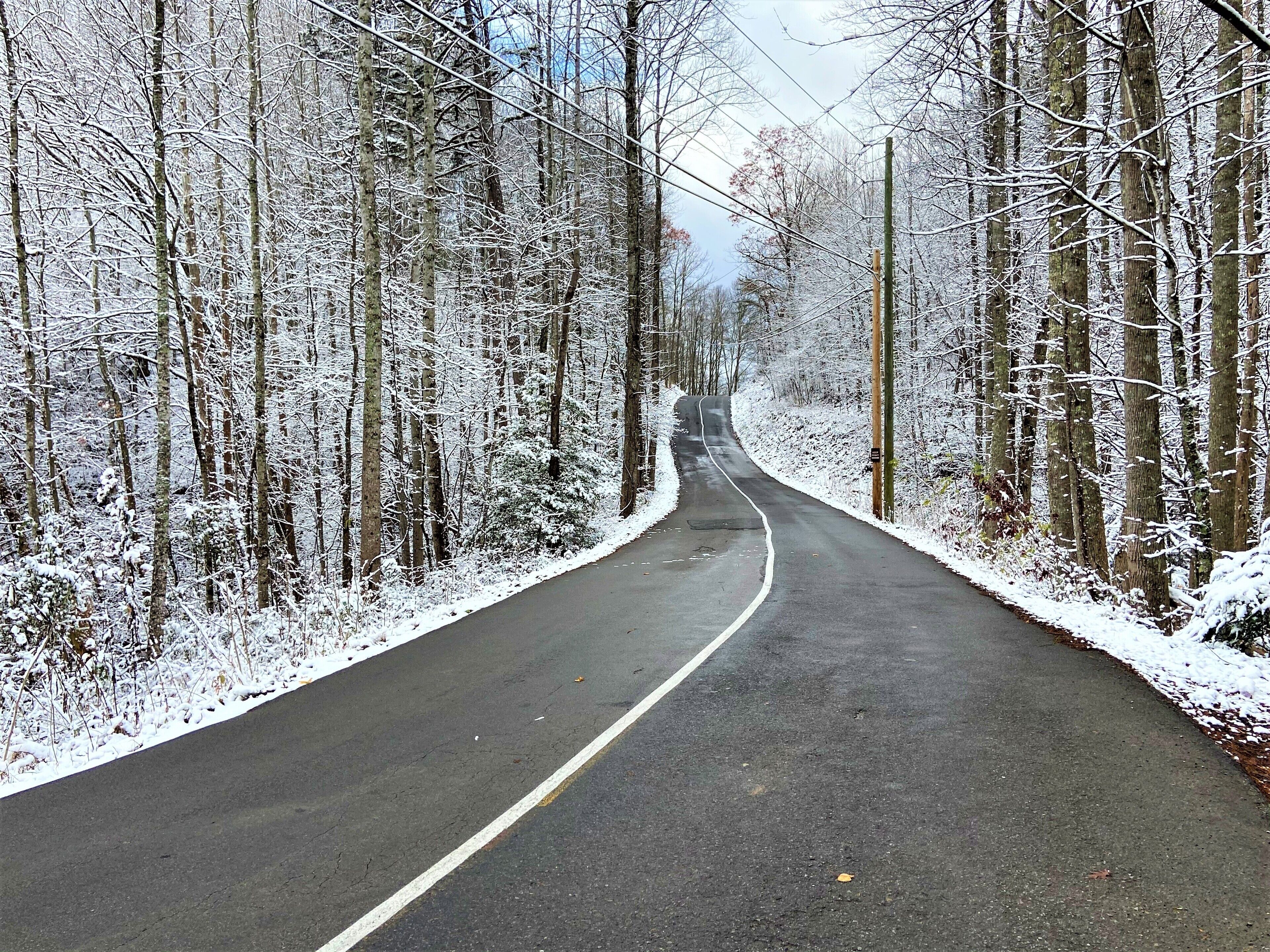 Une route enneigée bordée d’arbres.