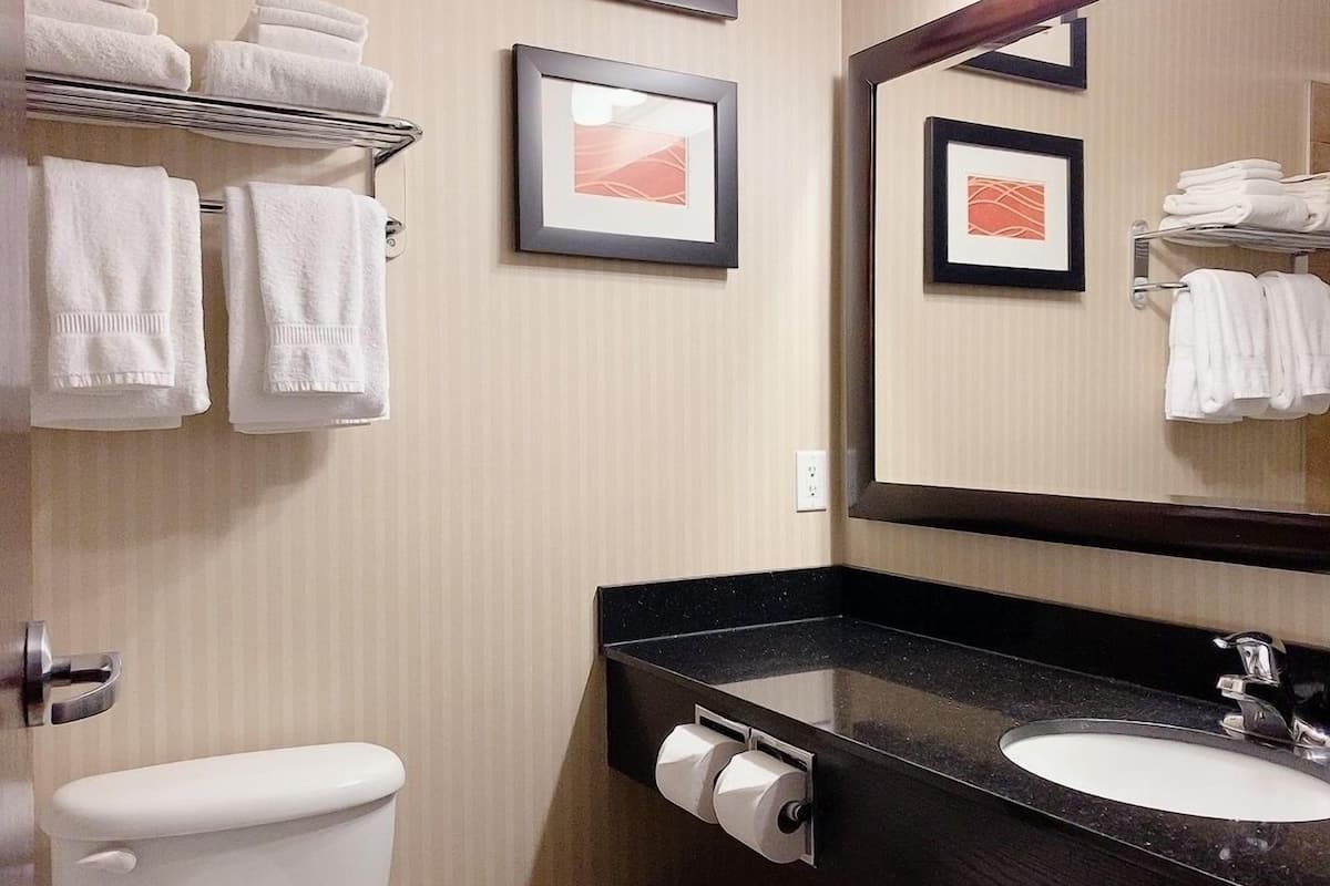 combined shower/bathtub, free toiletries, hair dryer, soap