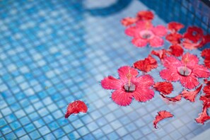A close-up of red hibiscus flowers floating on water in a pool with a blue tiled background. - Pool & Sauna Villa Churaumi Motobu (Motobu)