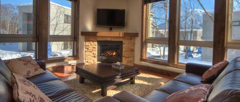 Fireplace, DVD player, stereo