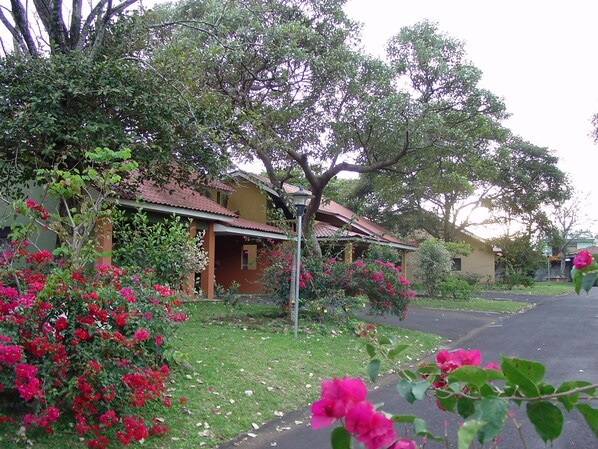 Property grounds - BEAUTIFUL Villas with mountain view for rent in San Rafael de Heredia downtown (San Rafael)