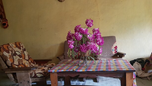 Ein Holztisch mit einer bunten karierten Tischdecke, ein Stuhl mit einem gemusterten Kissen und eine Vase mit rosafarbenen Blumen.