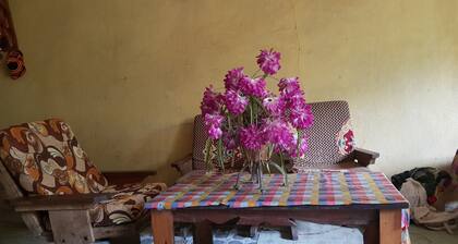 Degu Homestay and Tours -Budget-Friendly Homestays with Authentic Flavor