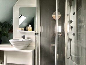Shower, hair dryer, soap, toilet paper