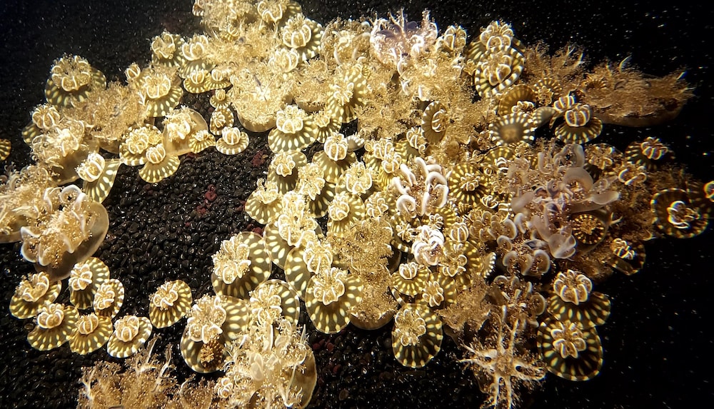 Hotel Indigo Omaha Downtown, an IHG Hotel by null