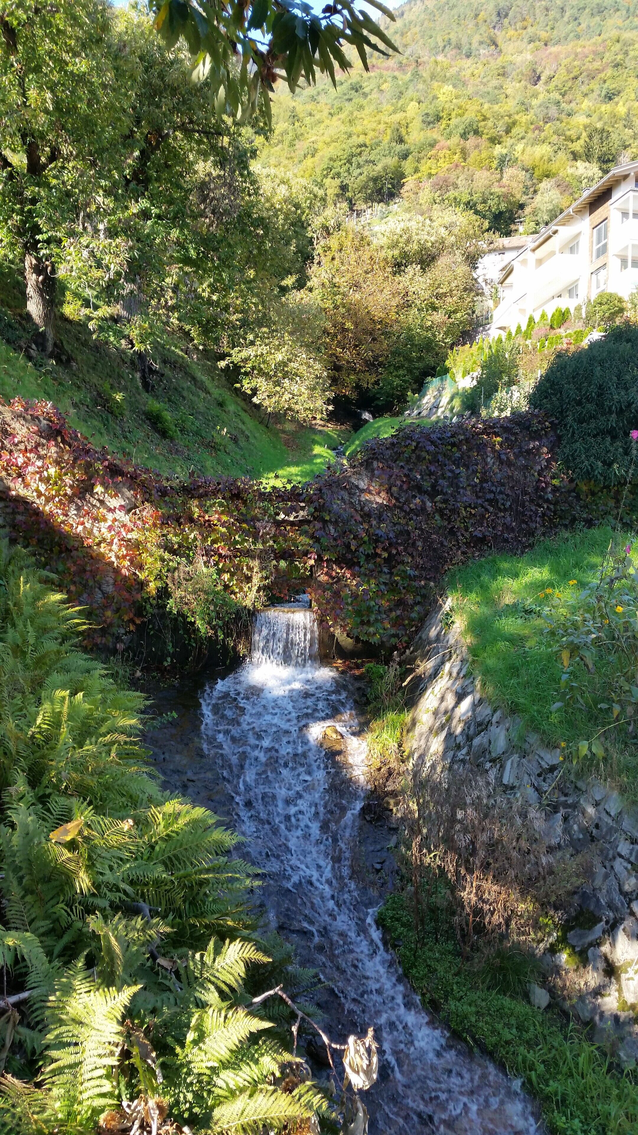 Parco della struttura