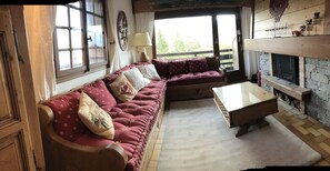 Télévision, cheminée, lecteur de DVD, livres