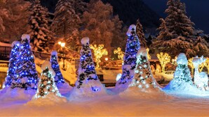 Des arbres couverts de neige, illuminés, une montagne en arrière-plan et un bâtiment également illuminé.