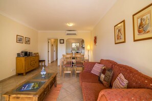 TV, fireplace, video games, DVD player