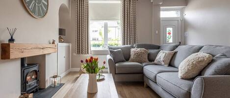 TV connectée, cheminée