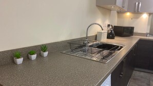 Une cuisine moderne dotée d’un plan de travail en granit, d’un évier en acier inoxydable et d’un égouttoir à vaisselle. Trois plantes en pot sont disposées sur le plan de travail.