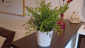 A modern living room with a dark wooden coffee table, a white vase with green foliage, and two red vases with tulips. - PortonHouse (Roma)