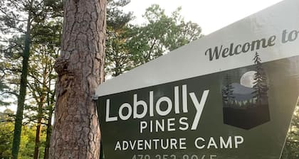 Airstream with Hot Tub and Sunset Deck at Loblolly P