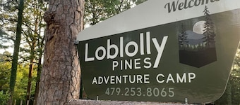 Airstream with Hot Tub and Sunset Deck at Loblolly P