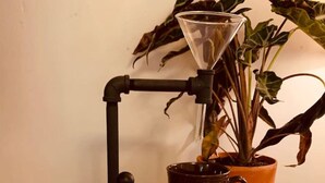 A coffee maker, a mug, a jar, and a potted plant on a wooden surface.