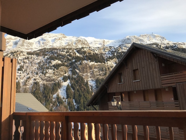 Terrain de l’hébergement 