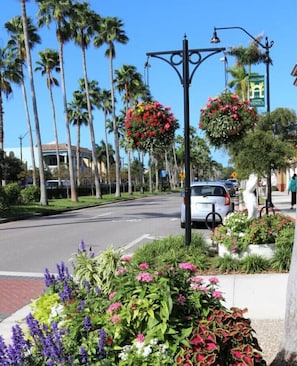 Stroll along the palm-lined road, surrounded by vibrant flowering plants and a charming street lamp.