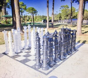Play a game of chess in a serene outdoor setting surrounded by trees.