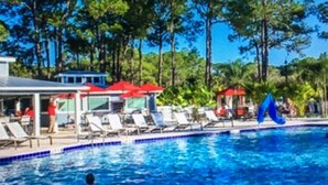 A swimming pool with lounge chairs and umbrellas, surrounded by trees. - Perfect place to call a Timeout! 3 beaches within 15 minutes! With a pool! (Venice)