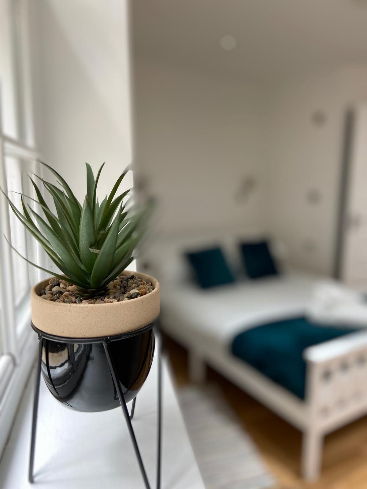 A potted plant on a windowsill in a bedroom with a bed and pillows.