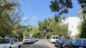 Une rue pavée bordée de voitures garées et d’arbres.