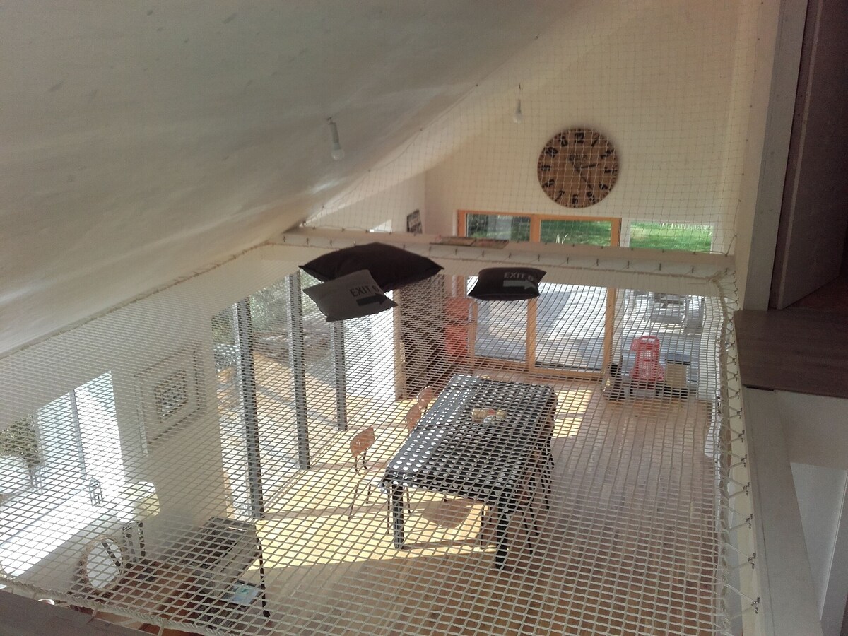 Image de profil de l’hôte