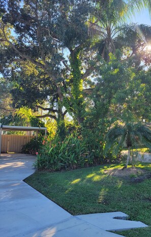 A residential garden with a wooden fence, a covered patio, and various plants.