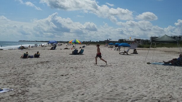 Une plage avec des gens, des parasols et des chaises de plage.