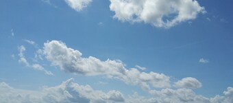 VeroHouse: 3BR 2BA, pet friendly, beautiful fenced back yard, quiet neighborhood