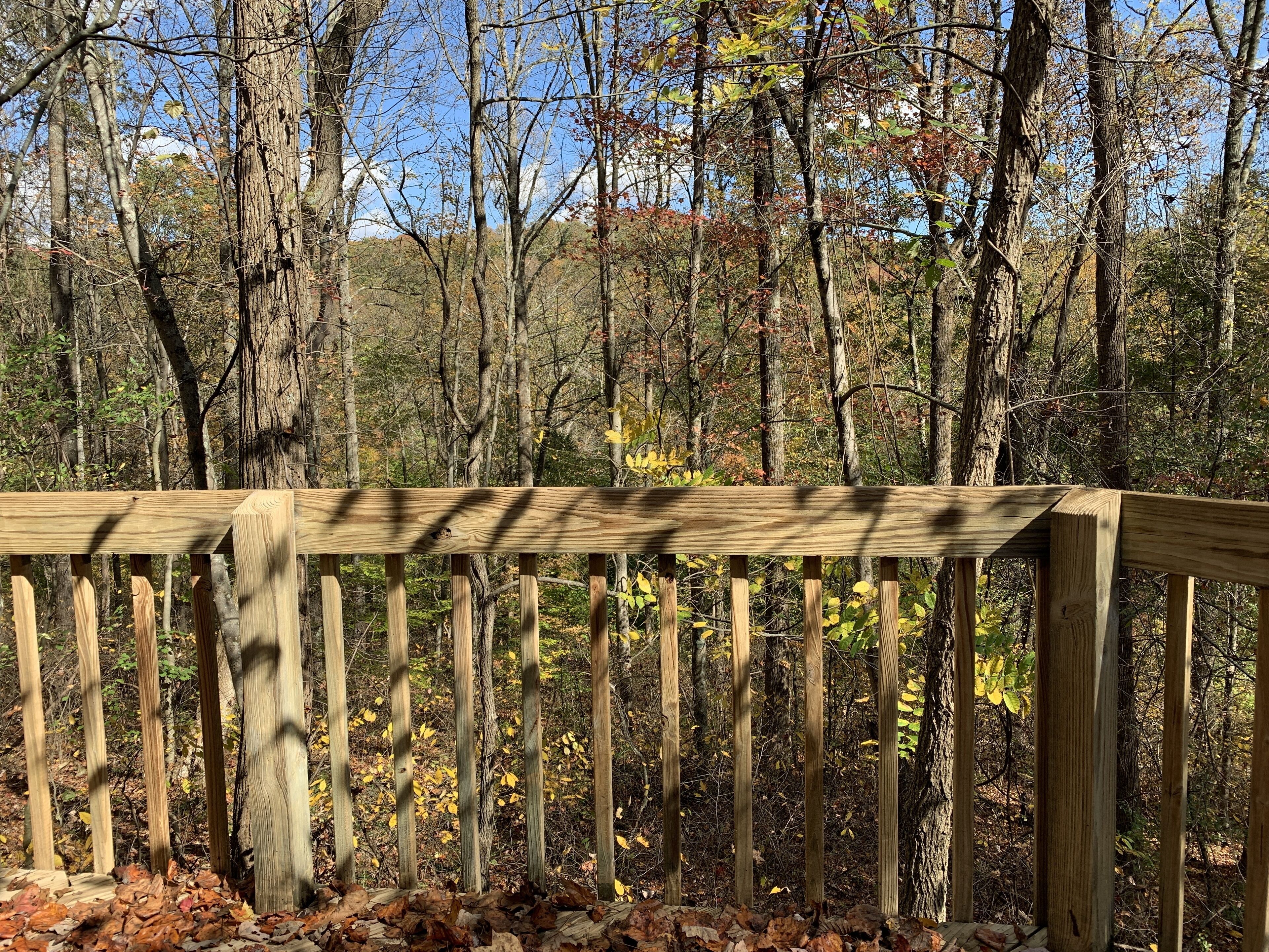 The Craft House - Cutest little Cabin you ever did see!!!