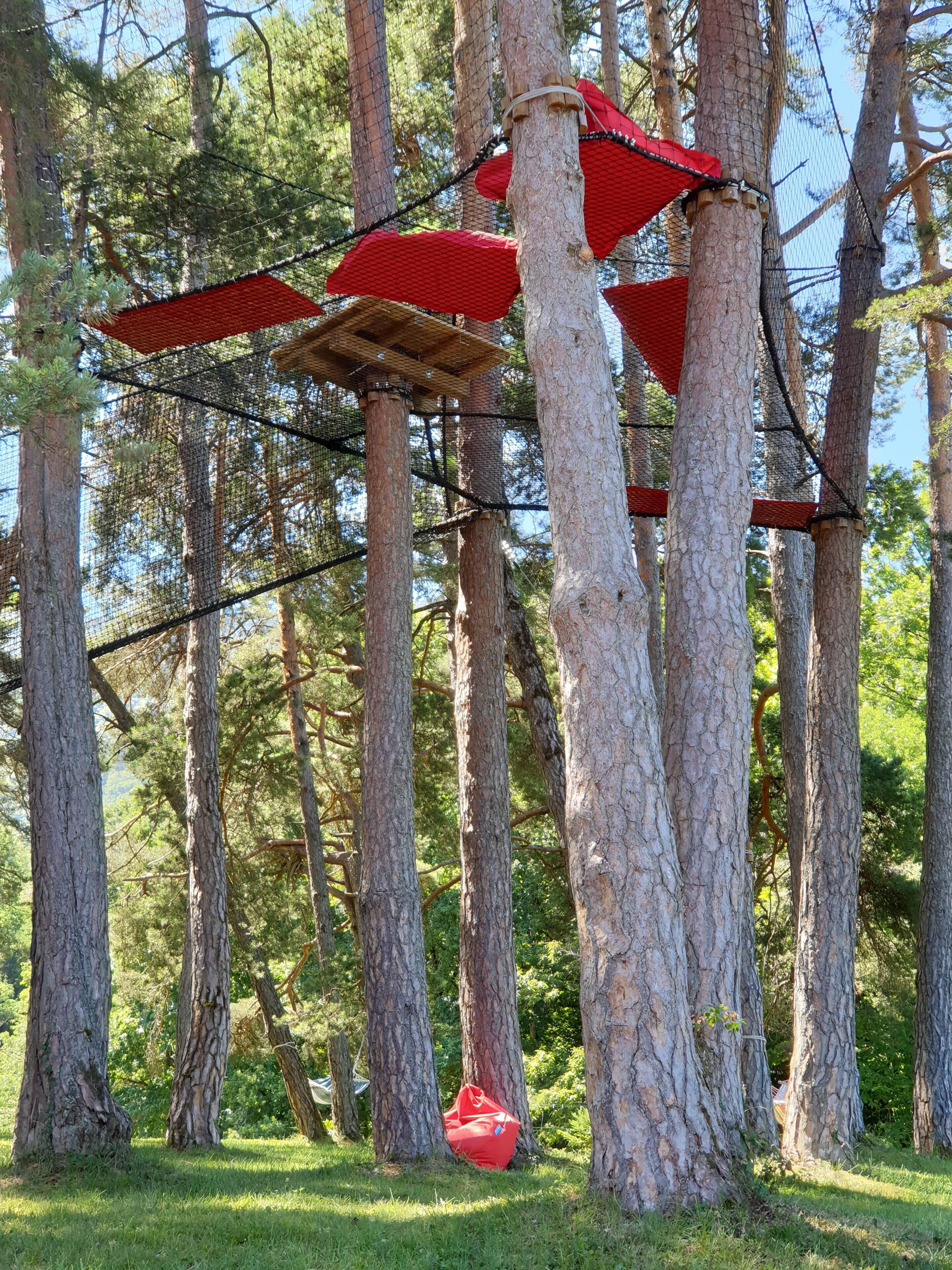 Une forêt avec de grands arbres et une structure d’escalade rouge.