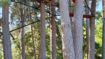 Une forêt avec de grands arbres et une structure d’escalade rouge.