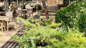An outdoor seating area with tables and chairs, surrounded by greenery and trees. - Holiday Park (Varna)