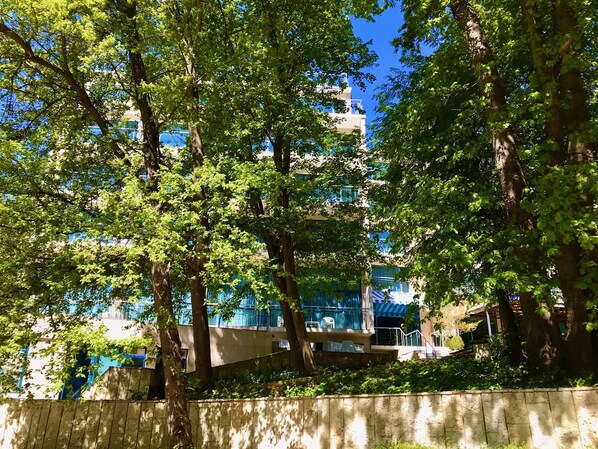 외관