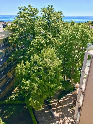 A tree-lined courtyard with a view of the sea. - Holiday Park (Varna)