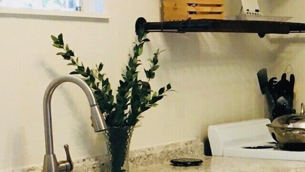 Una cocina con un lavamanos, una planta en maceta y armarios blancos.