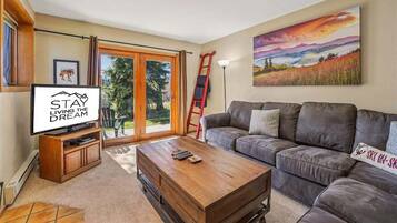 Televisión, biblioteca musical, videoteca y estéreo