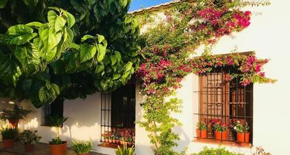 Casa Rural la Morera