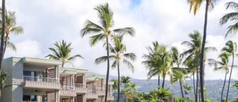 Un hotel de varios pisos con balcones, rodeado de palmeras y abundante vegetación.